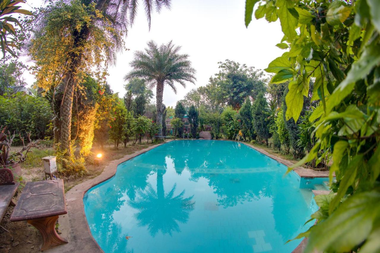 Hostie Chinar Haveli - Heritage Home With Pool, Гургаон Экстерьер фото