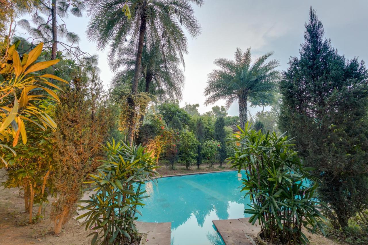 Hostie Chinar Haveli - Heritage Home With Pool, Гургаон Экстерьер фото