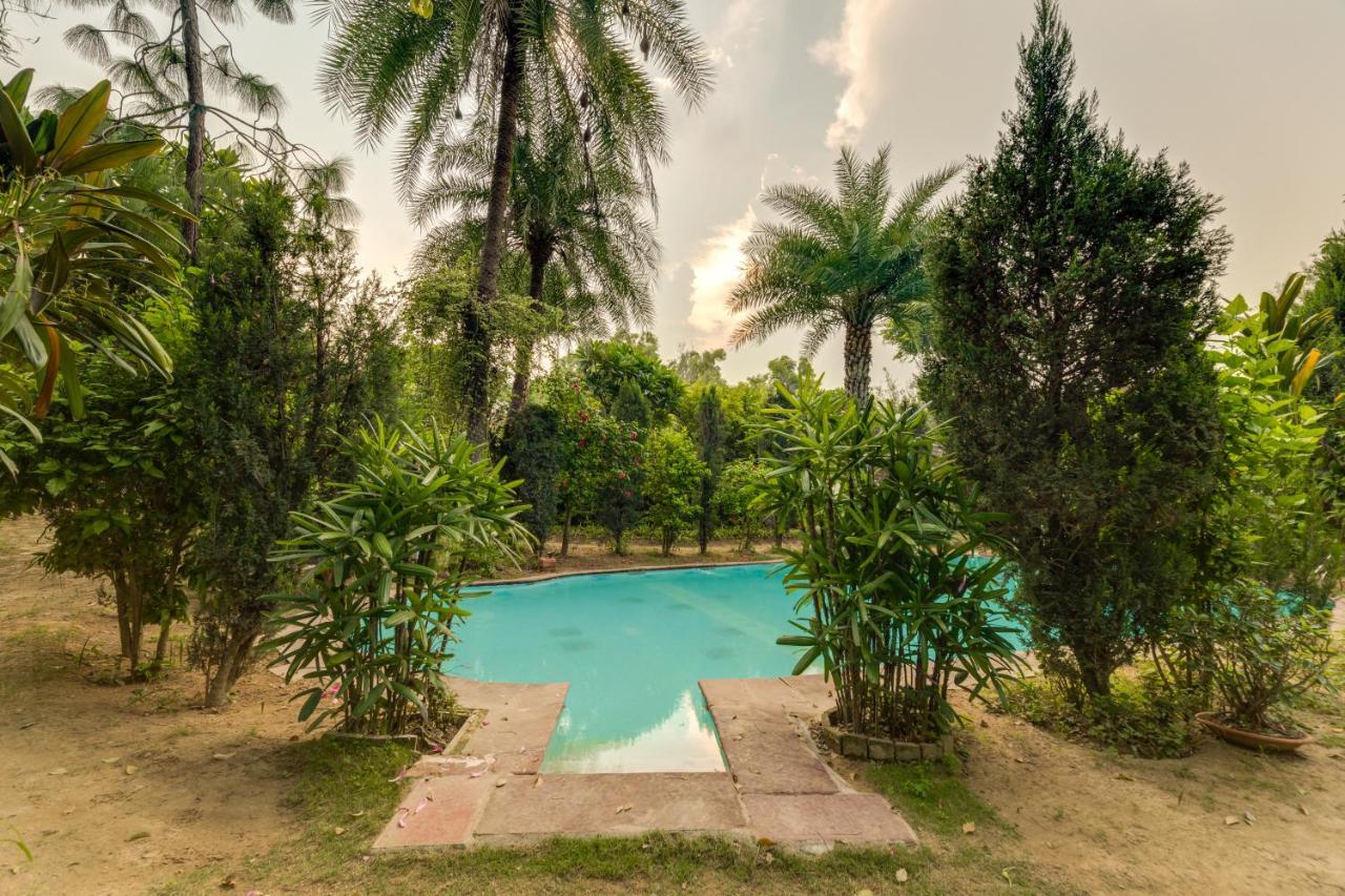 Hostie Chinar Haveli - Heritage Home With Pool, Гургаон Экстерьер фото