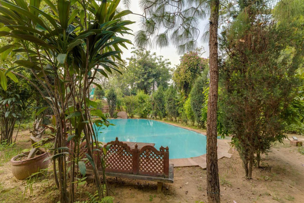 Hostie Chinar Haveli - Heritage Home With Pool, Гургаон Экстерьер фото